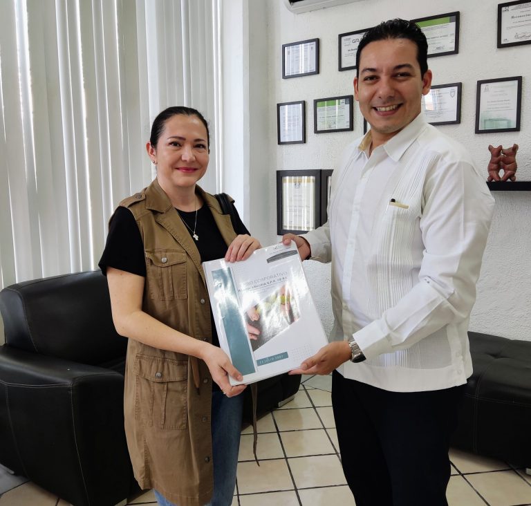 sociedades anónimas