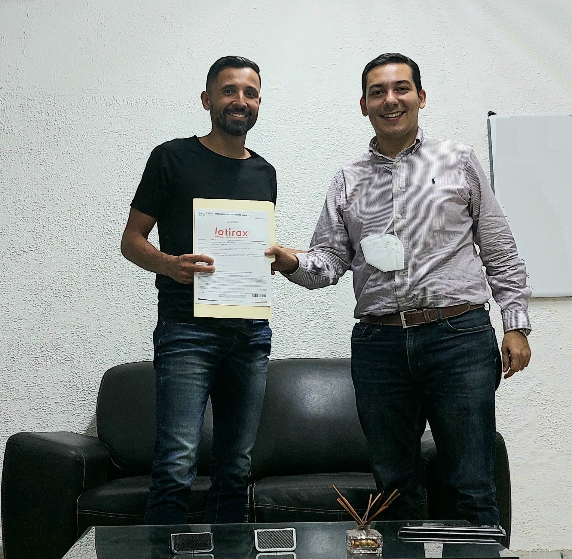 registro de marca impi